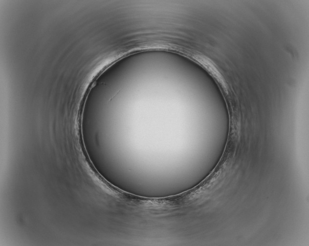 X0000113370805200909291050