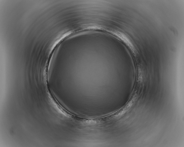 X0000113370806200909291050