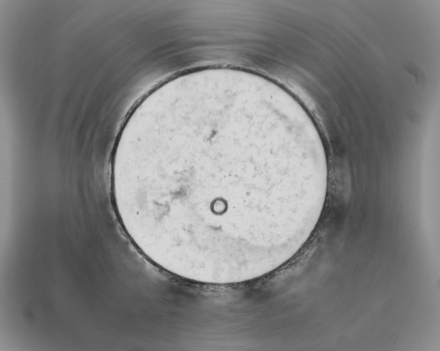 X0000113370807200909291050