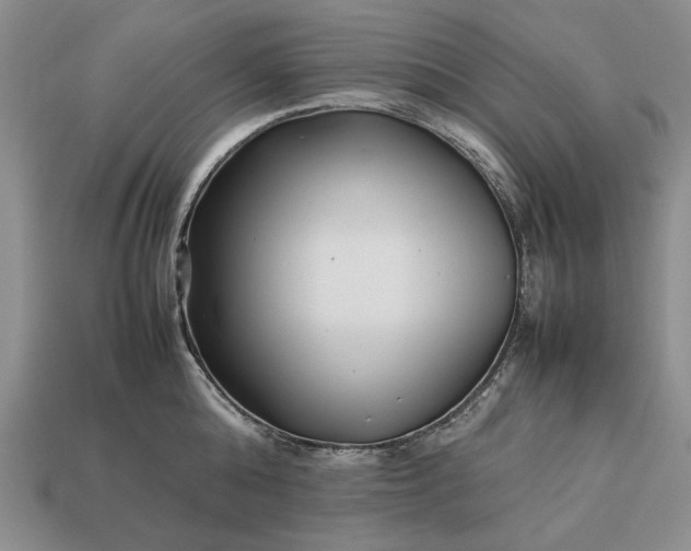 X0000113370808200909291050