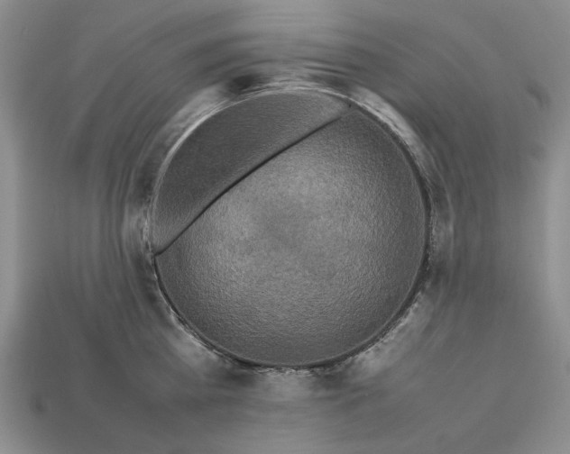 X0000113370809200909291050