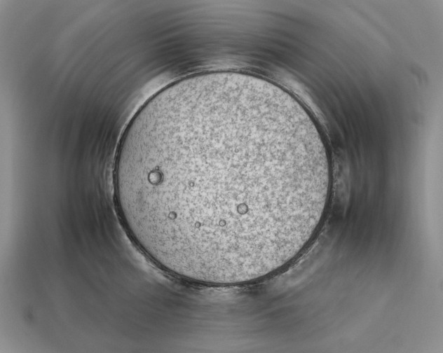 X0000113370810200909291050