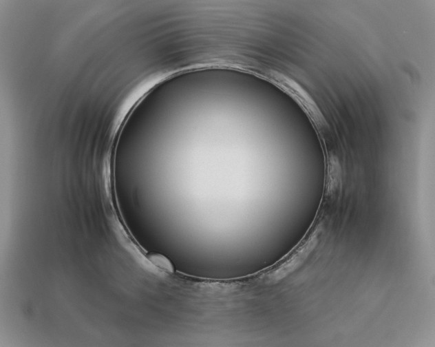 X0000113370812200909291050