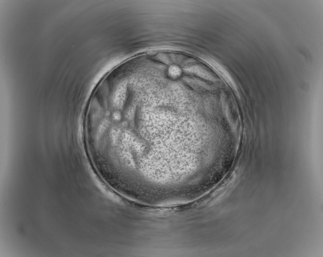 X0000113370813200909291050