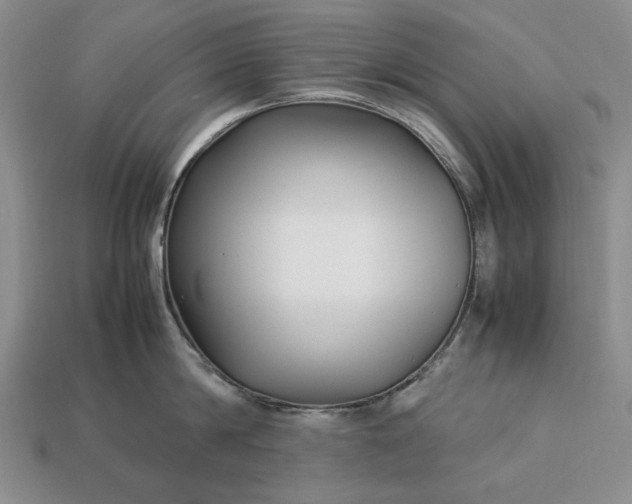 X0000113370814200909291050