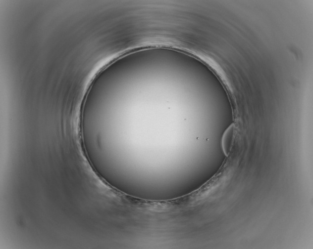 X0000113370815200909291050