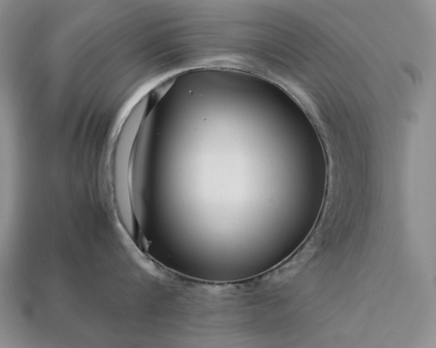 X0000113370816200909291050