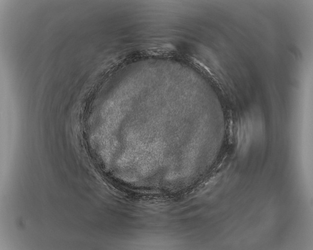 X0000113370817200909291049