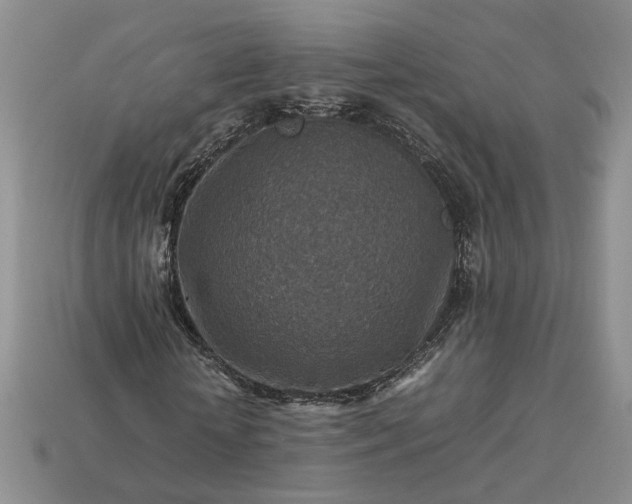 X0000113370818200909291049