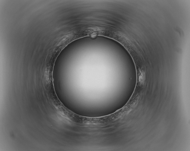 X0000113370819200909291049