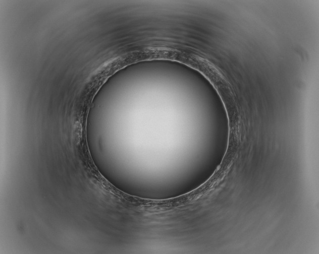 X0000113370821200909291049