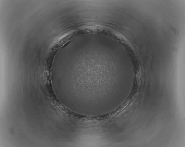 X0000113370822200909291049