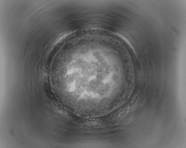 X0000113370823200909291049