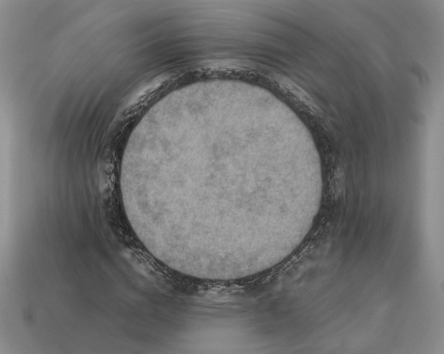 X0000113370824200909291049