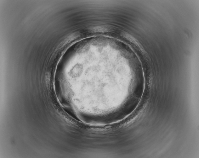 X0000113370825200909291049