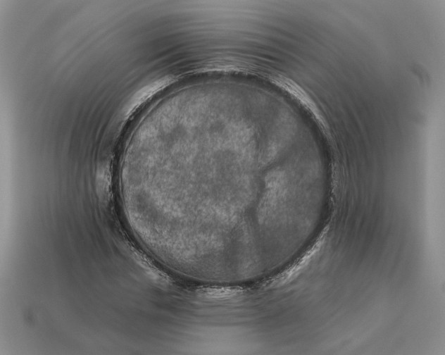 X0000113370826200909291049