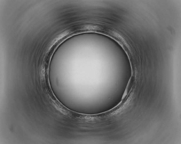 X0000113370827200909291049