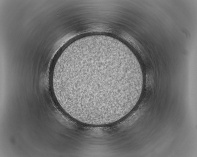 X0000113370828200909291049