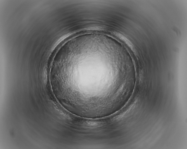 X0000113370829200909291049