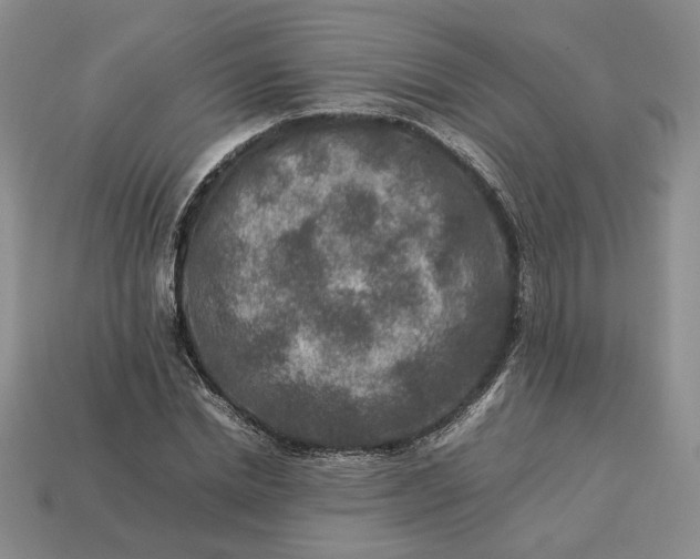 X0000113370830200909291049