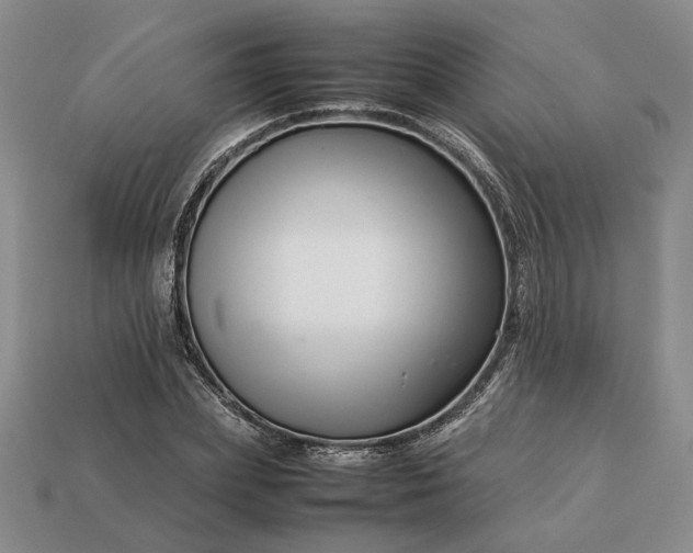 X0000113370831200909291049