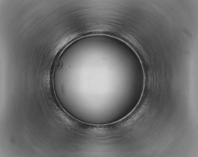 X0000113370834200909291049