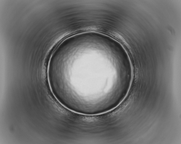 X0000113370835200909291049