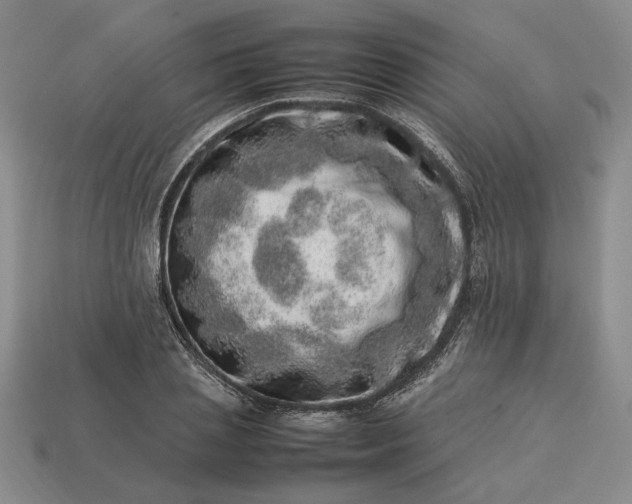 X0000113370837200909291049