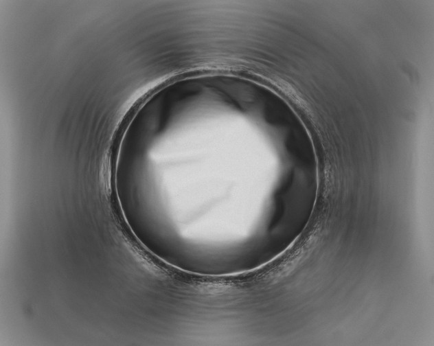 X0000113370838200909291049