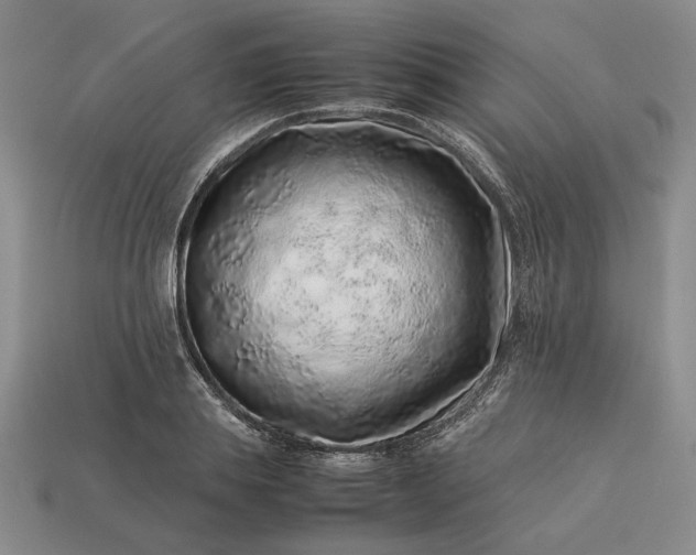 X0000113370839200909291049