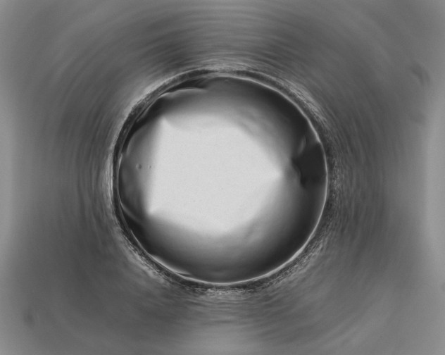 X0000113370840200909291049