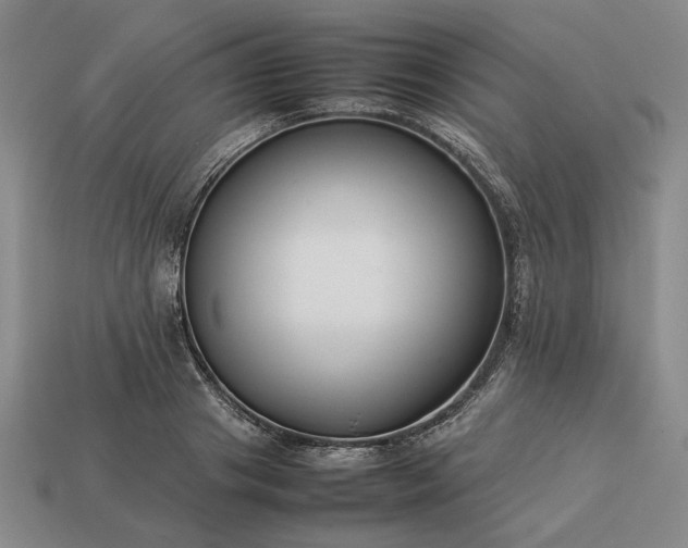 X0000113370841200909291049