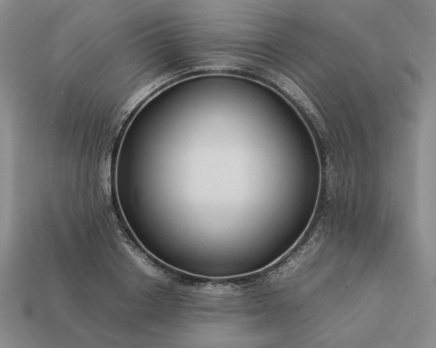 X0000113370842200909291049