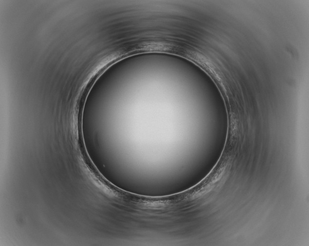 X0000113370843200909291049