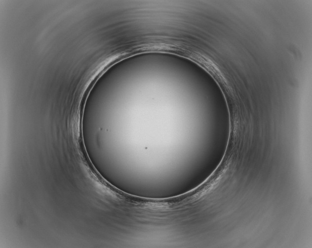 X0000113370844200909291049