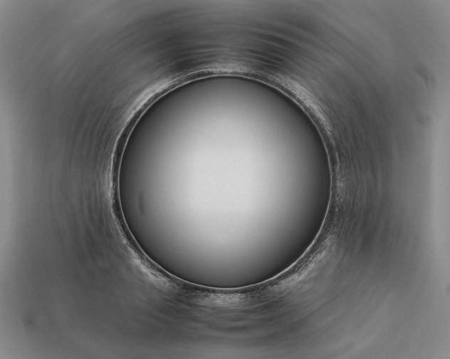 X0000113370845200909291049