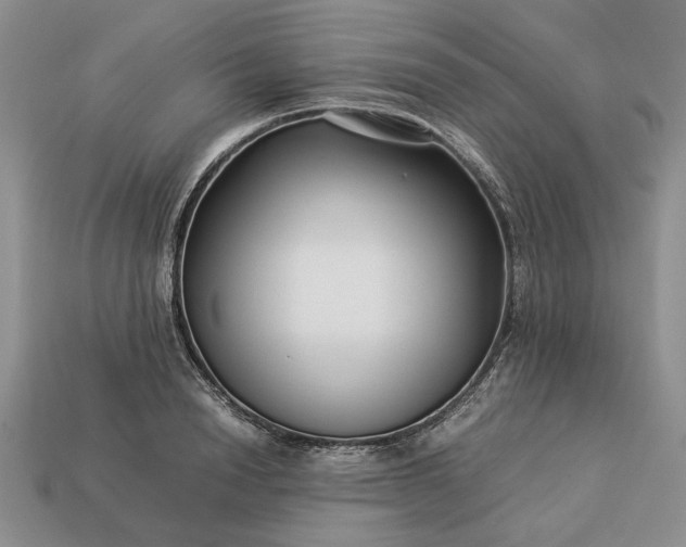 X0000113370846200909291050