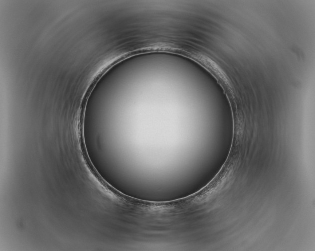 X0000113370847200909291050