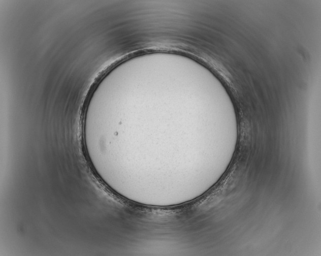 X0000113370848200909291050