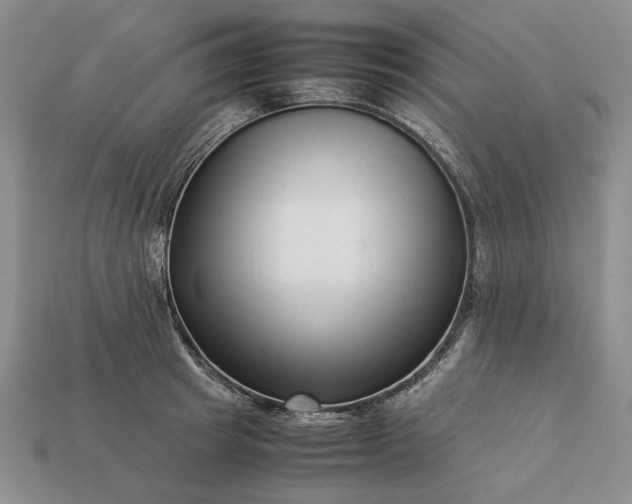 X0000113370849200909291050