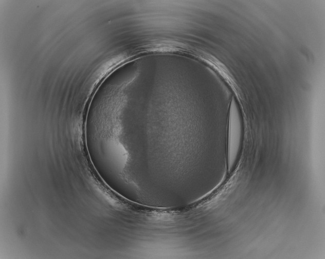 X0000113370850200909291050