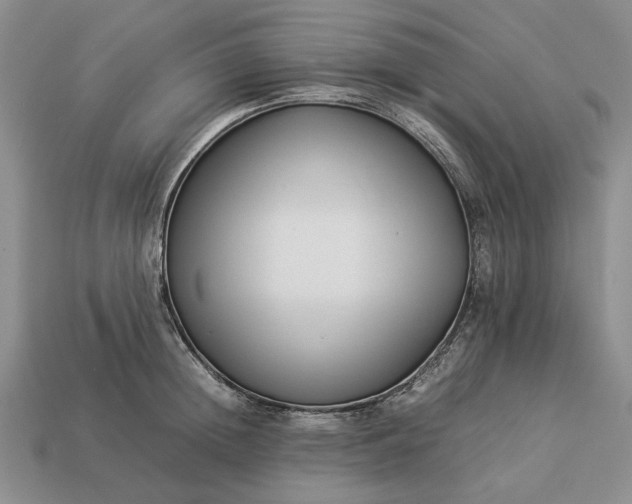 X0000113370852200909291050