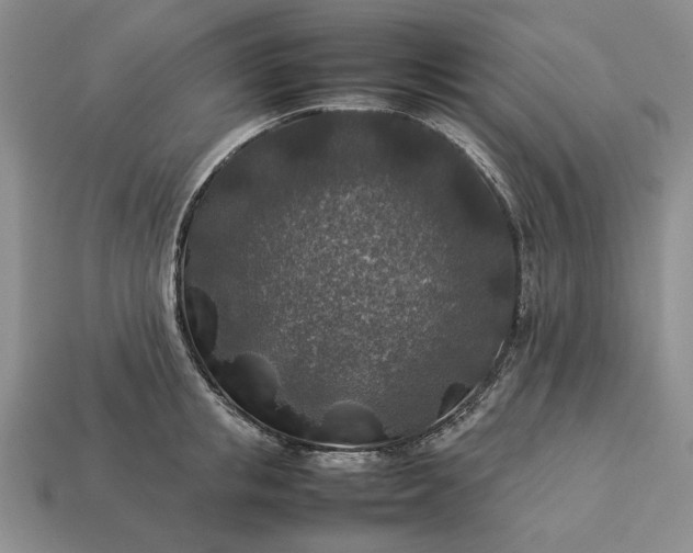 X0000113370853200909291050