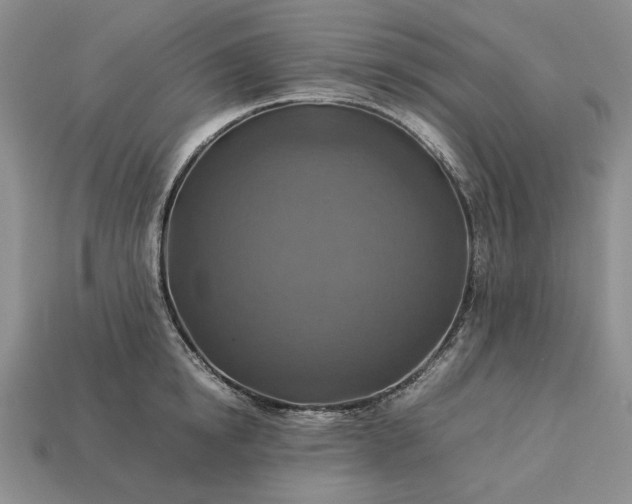 X0000113370854200909291050