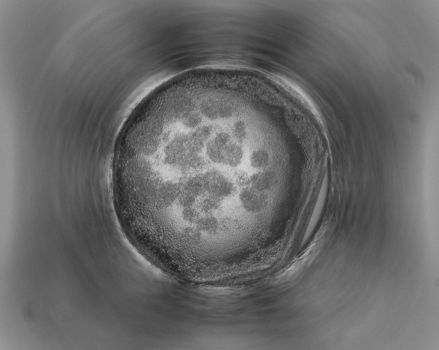 X0000113370855200909291050