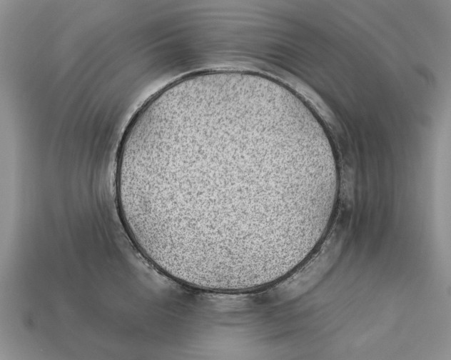 X0000113370856200909291050