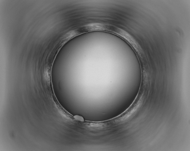 X0000113370857200909291050