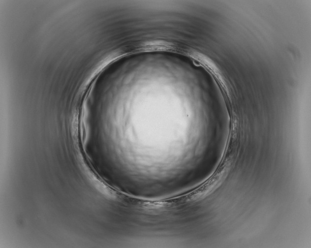 X0000113370859200909291050