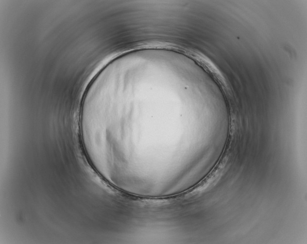 X0000113370860200909291050