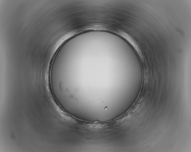 X0000113370861200909291050